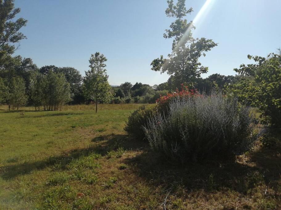 Le Soleil D Eugenie Appartement Dans Residence Avec Piscine Commune Pres De Carcassonne Olonzac Exterior photo