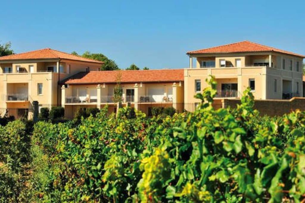 Le Soleil D Eugenie Appartement Dans Residence Avec Piscine Commune Pres De Carcassonne Olonzac Exterior photo