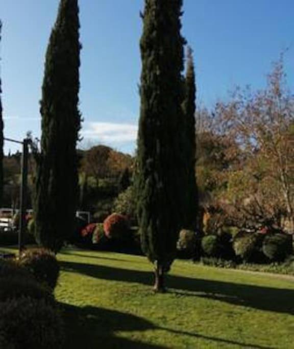 Le Soleil D Eugenie Appartement Dans Residence Avec Piscine Commune Pres De Carcassonne Olonzac Exterior photo